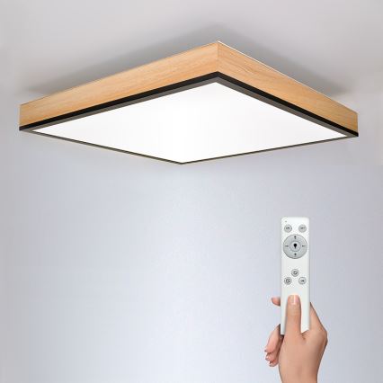 LED Dimmable ceiling light LED/40W/230V 3000-6500K + remote control