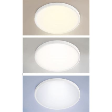 Dimmable LED Ceiling Surface-Mounted Pendant Light LED/40W/230V 3000-6500K + Remote Control