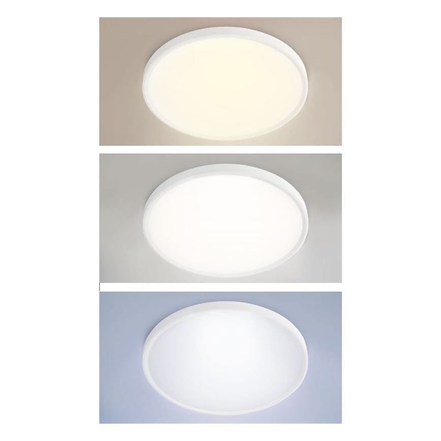Dimmable LED Ceiling Surface-Mounted Pendant Light LED/40W/230V 3000-6500K + Remote Control