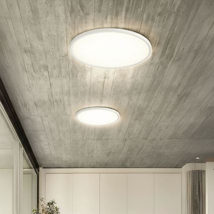 Dimmable LED Ceiling Surface-Mounted Pendant Light LED/40W/230V 3000-6500K + Remote Control