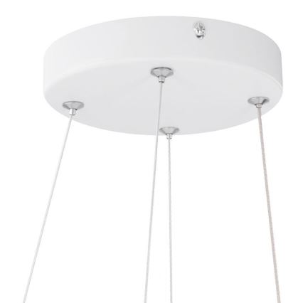 Dimmable LED Ceiling Surface-Mounted Pendant Light LED/40W/230V 3000-6500K + Remote Control