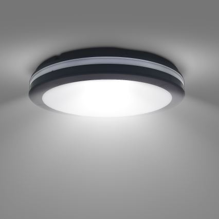 LED Dimmable outdoor ceiling light LED/36W/40W/44W/230V 3000/4000/6500K IP65 black