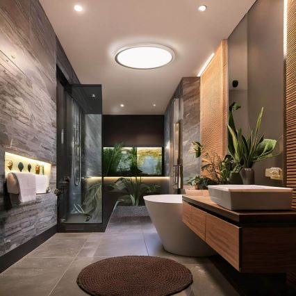 ACATE LED Bathroom Ceiling Light LED/24W/230V 3000/4000/6000K Ø 29.3 cm IP54