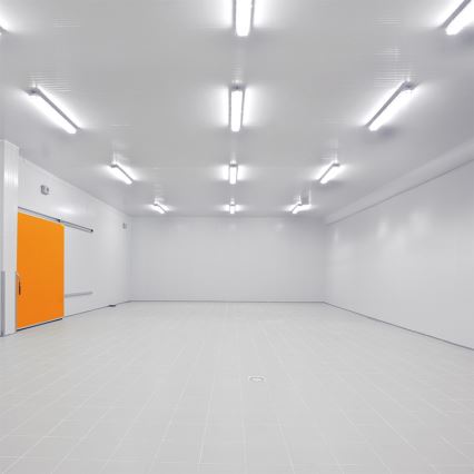LED Heavy-duty light LED/50W/230V 4000K IP65