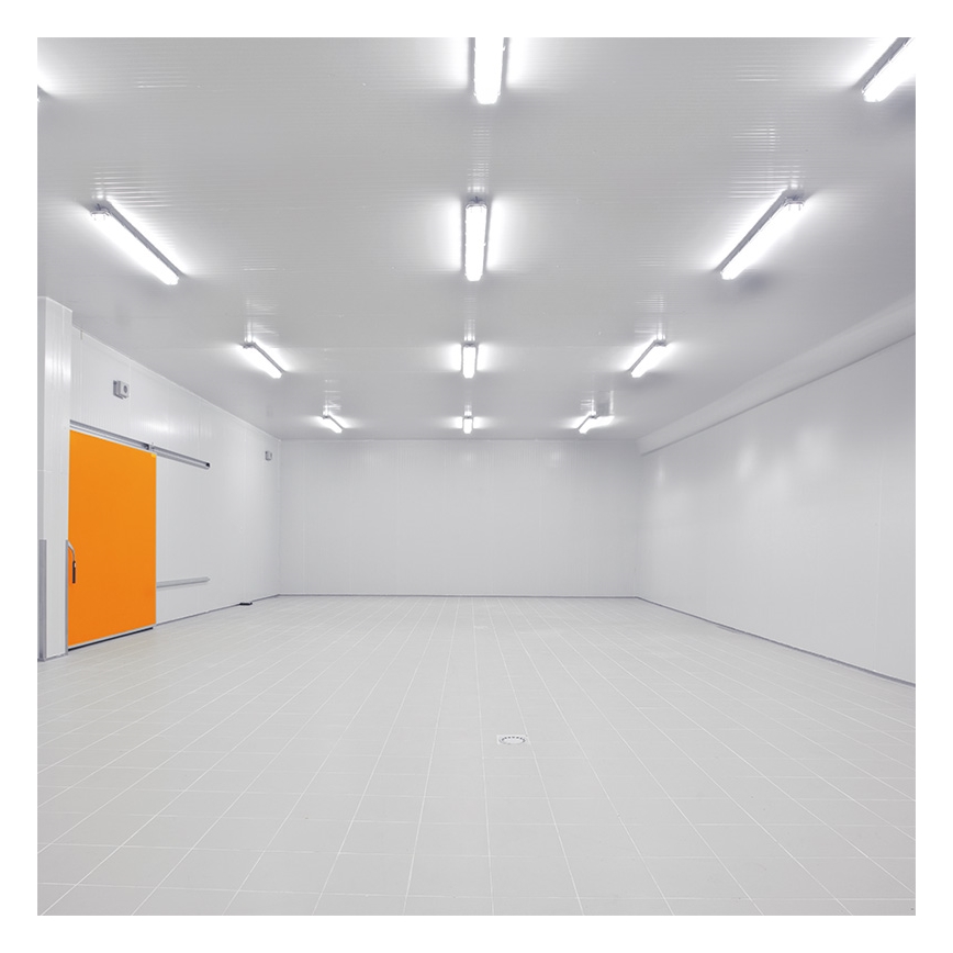 LED Heavy-duty light LED/50W/230V 4000K IP65