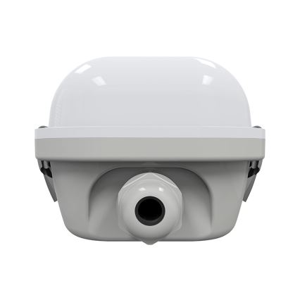 LED Heavy-duty light LED/50W/230V 4000K IP65