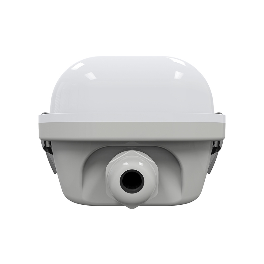 LED Heavy-duty light LED/50W/230V 4000K IP65