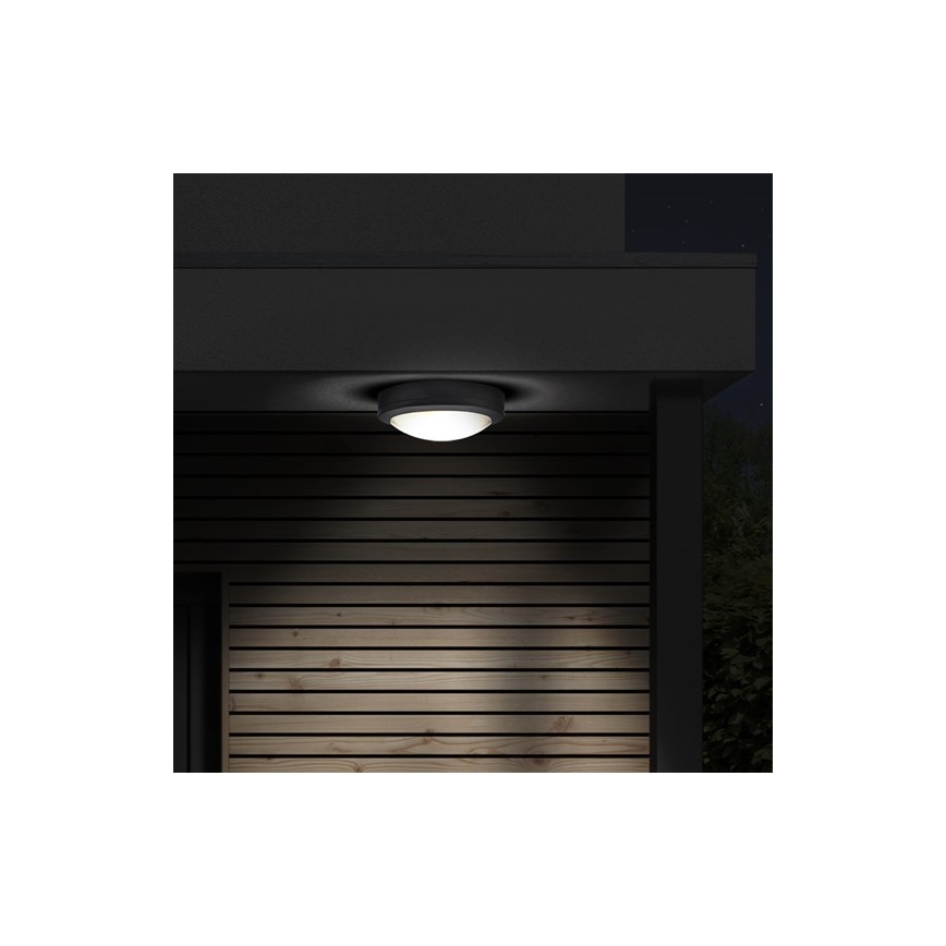 LED Outdoor ceiling light LED/13W/230V IP54 anthracite