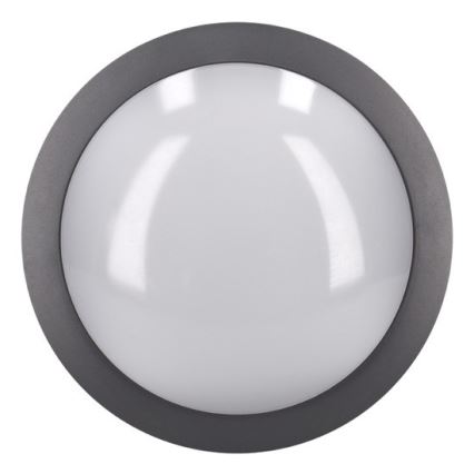 LED Outdoor ceiling light LED/13W/230V IP54 anthracite