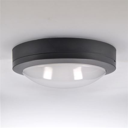 LED Outdoor ceiling light LED/13W/230V IP54 anthracite