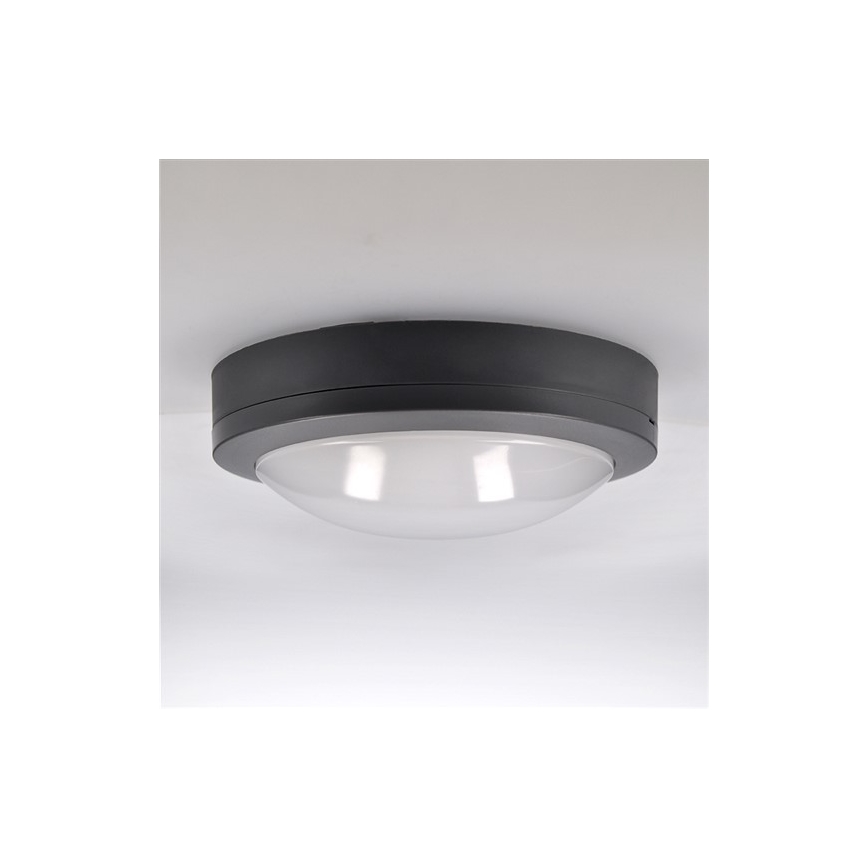 LED Outdoor ceiling light LED/13W/230V IP54 anthracite