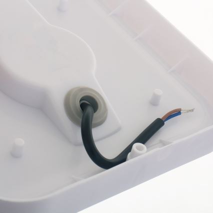 LED Outdoor wall light LED/20W/230V IP54 