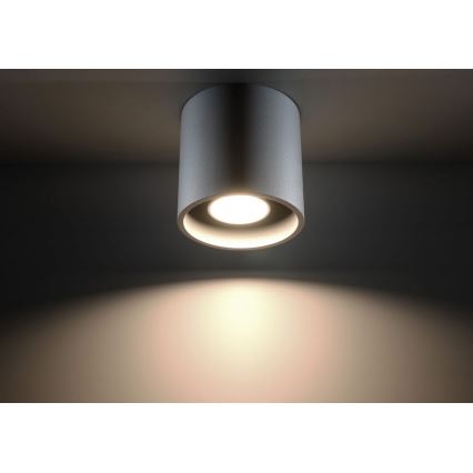 Spotlight ORBIS 1 1xGU10/10W/230V grey