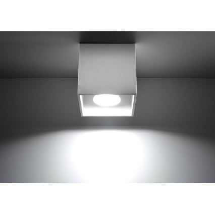 Spotlight QUAD 1 1xGU10/10W/230V white