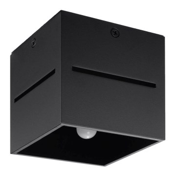 Sollux SL.0207 - Ceiling light LOBO 1xG9/40W/230V black