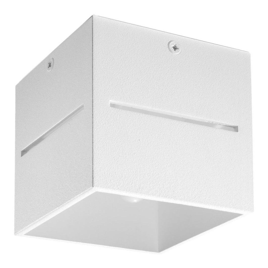 Sollux SL.0209 - Ceiling light LOBO 1xG9/40W/230V white