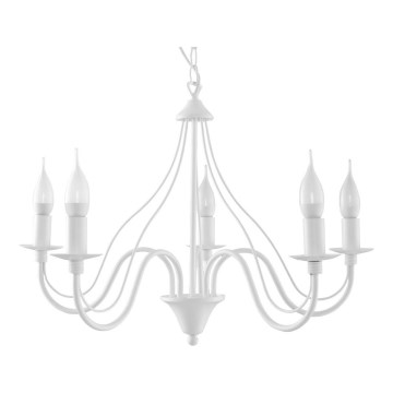 Sollux SL.0214 - Chandelier on a chain MINERWA 5 5xE14/40W/230V white