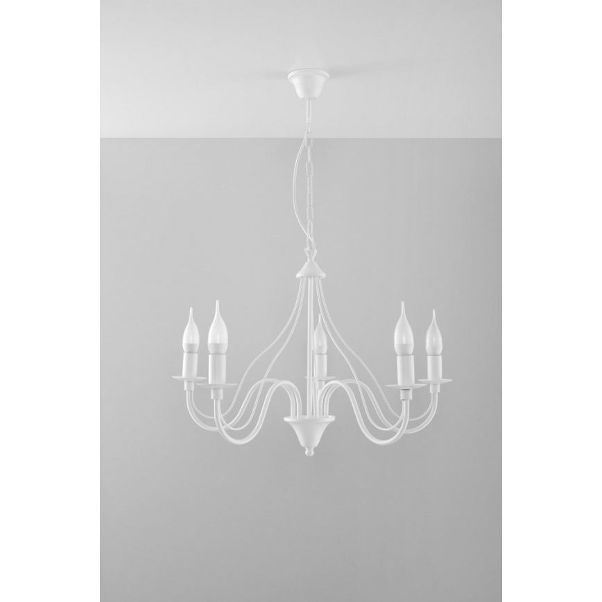 Sollux SL.0214 - Chandelier on a chain MINERWA 5 5xE14/40W/230V white