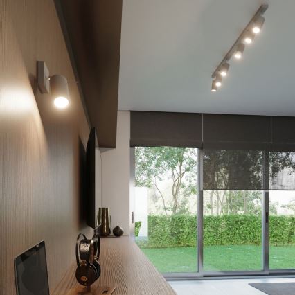 Ceiling spotlight RING 2xGU10/10W/230V