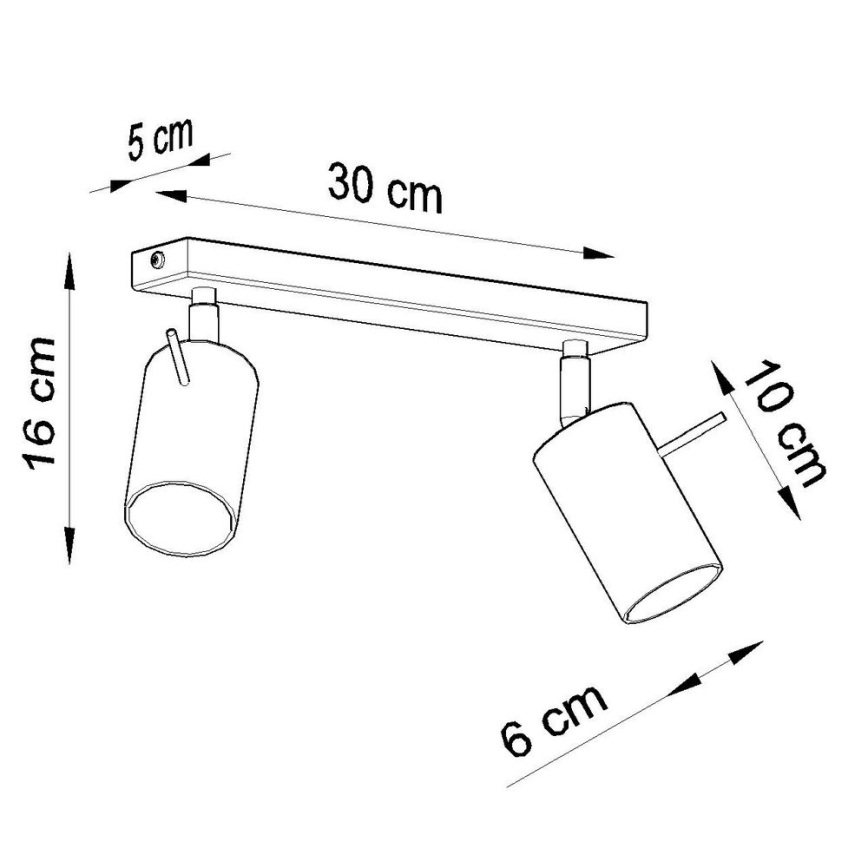 Ceiling spotlight RING 2xGU10/10W/230V