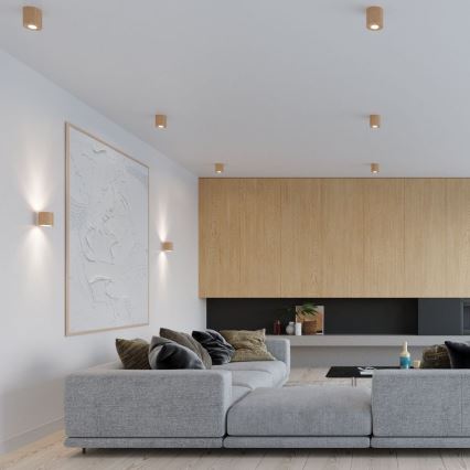 Sollux SL.0492 - Ceiling light ORBIS 1xGU10/40W/230V wood