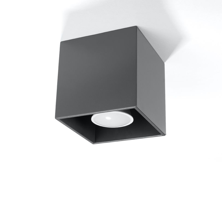 Spotlight QUAD 1 1xGU10/10W/230V anthracite