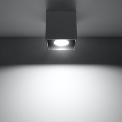 Spotlight QUAD 1 1xGU10/10W/230V anthracite