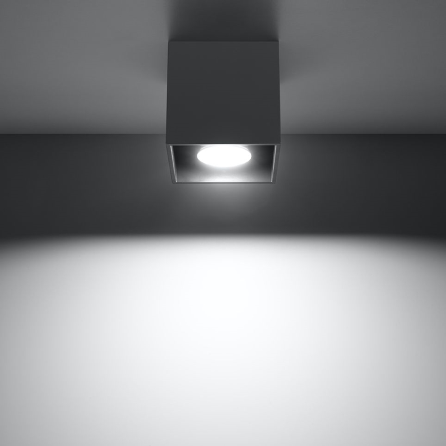 Spotlight QUAD 1 1xGU10/10W/230V anthracite