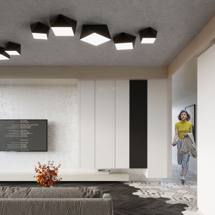 Ceiling light HEXA 2xE27/60W/230V black