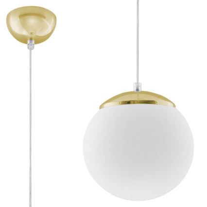 TOYA Cable Pendant Light 1xE27/60W/230V Ø 20 cm White/Gold