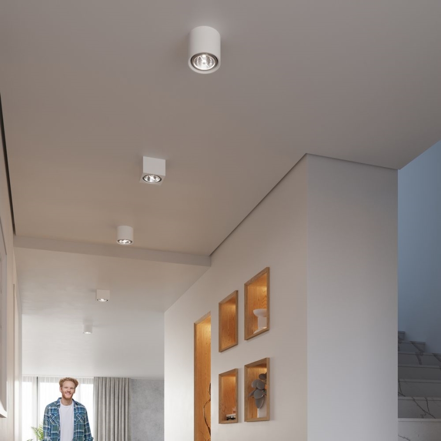 Spotlight KALU 1xGU10/ES111/40W/230V