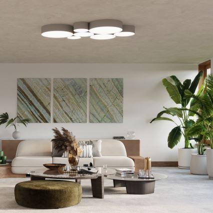 Ceiling light ARENA 4xE27/60W/230V grey