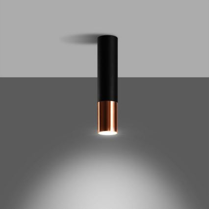 Spotlight LOOPEZ 1xGU10/10W/230V black/copper
