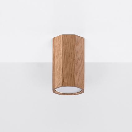 Spotlight ZEKE 1xGU10/40W/230V 10 cm oak