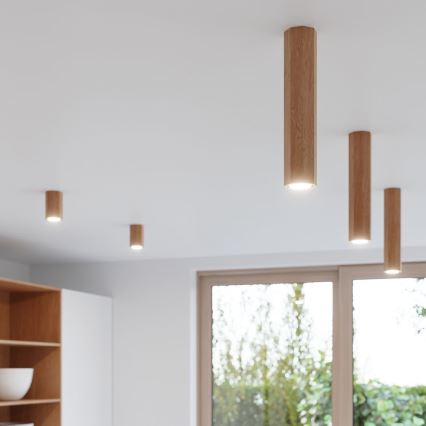 Spotlight ZEKE 1xGU10/40W/230V 30 cm oak