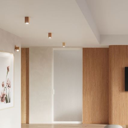 Spotlight KEKE 1xGU10/40W/230V 10 cm oak