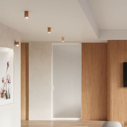 Spotlight KEKE 1xGU10/40W/230V 30 cm oak