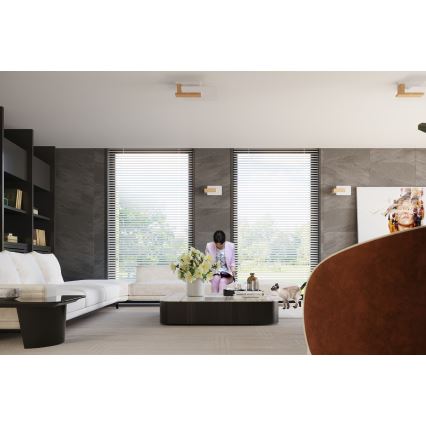 Ceiling light LAPPO 2xE27/15W/230V beige