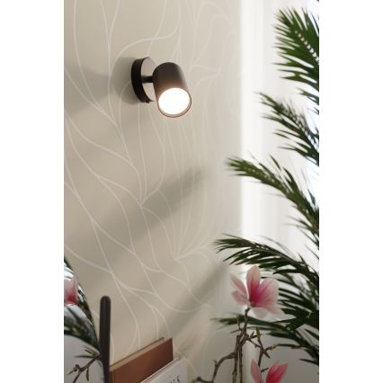 Wall spotlight LEMMI 1xGU10/40W/230V black