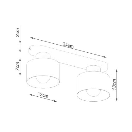 Ceiling light SAVAR 2xE27/60W/230V black