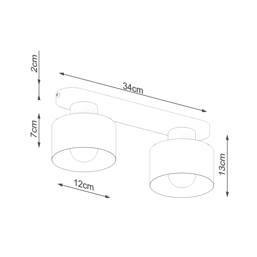 Ceiling light SAVAR 2xE27/60W/230V black