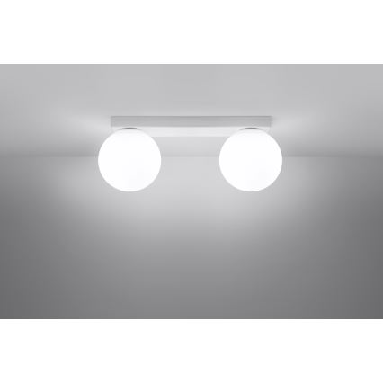 Ceiling light YOLI 2xG9/12W/230V white