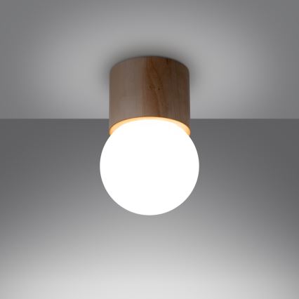 Spotlight BOOMO 1xG9/8W/230V beech
