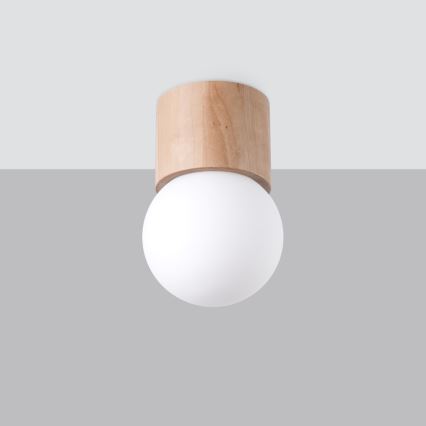 Spotlight BOOMO 1xG9/8W/230V beech