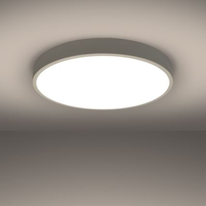 LED Ceiling Light ONYX LED/48W/230V Ø 60 cm White