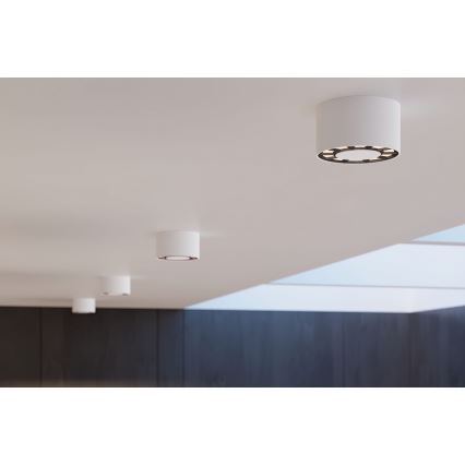LED Spotlight DIO LED/10W/230V white