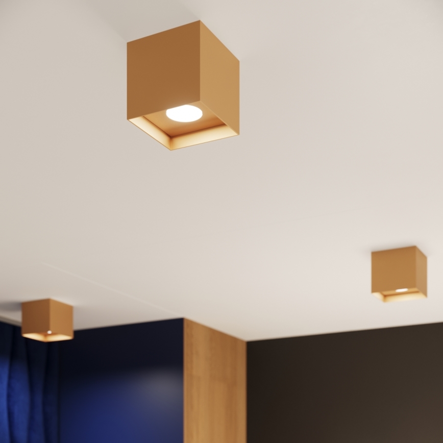 Spotlight HATI 1xGU10/10W/230V gold