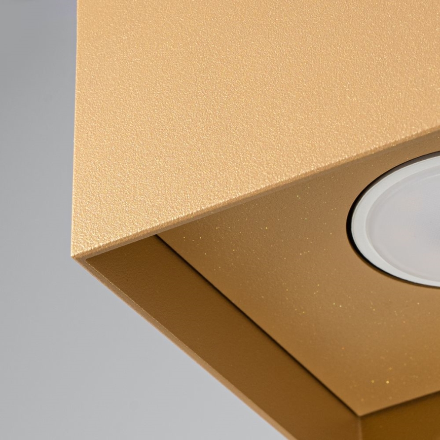 Spotlight HATI 1xGU10/10W/230V gold