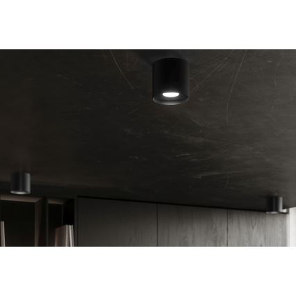 Spotlight MIKA 1xGU10/10W/230V black