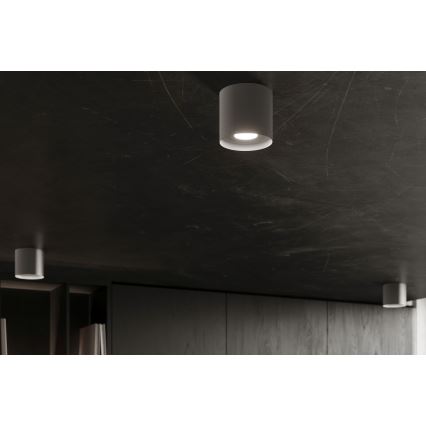 Spotlight MIKA 1xGU10/10W/230V grey